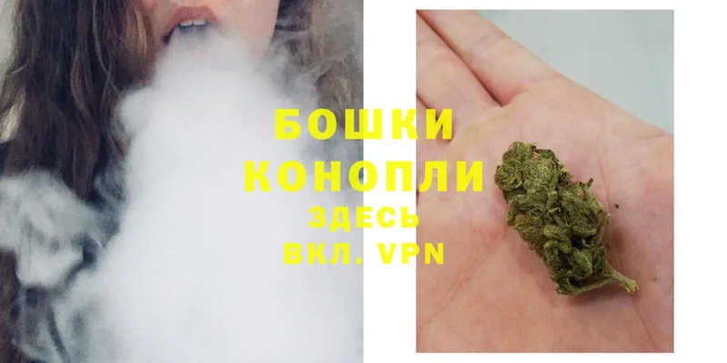 Конопля Ganja  Заозёрный 